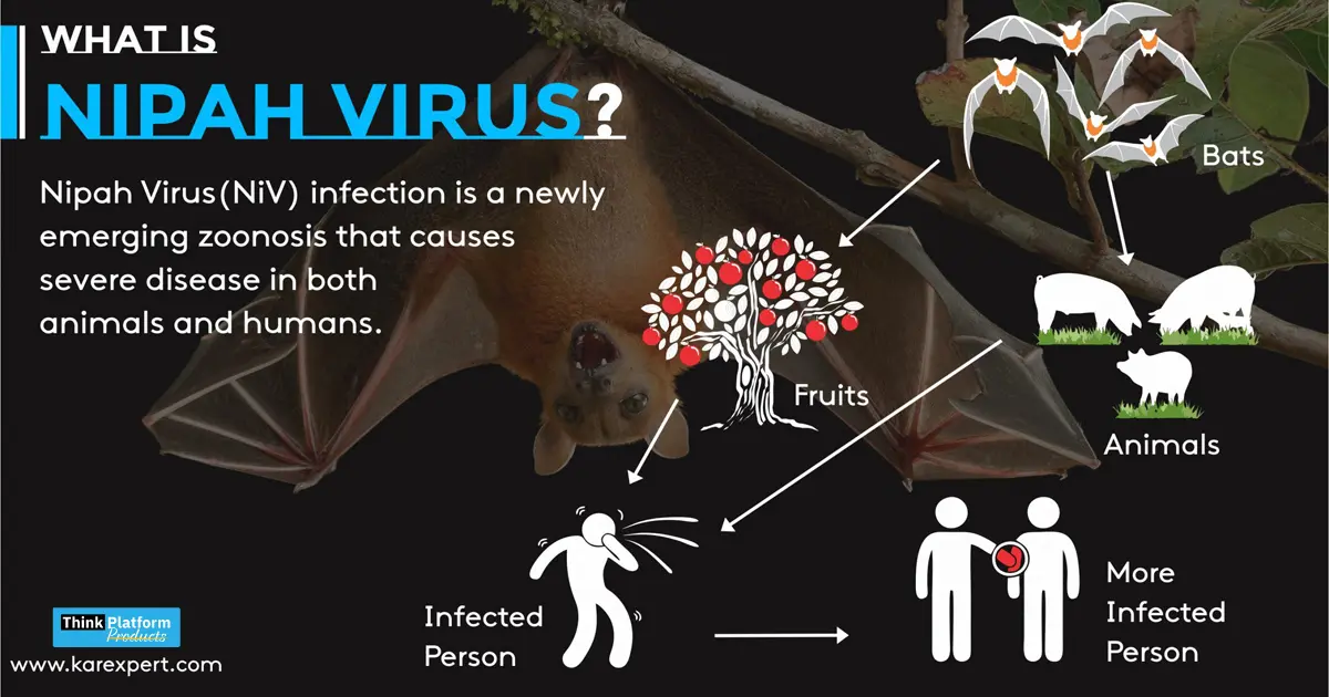 Virus information